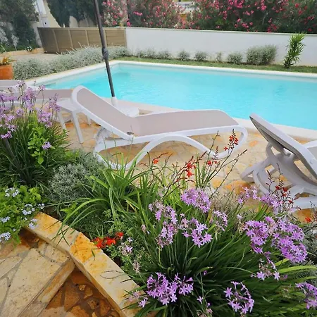 Goga With Heated Pool Hotel Vir